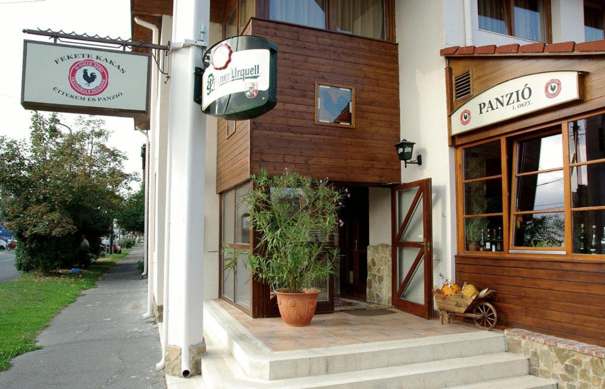 Il Gallo Nero - Fekete Kakas Étterem és Panzió Szombathely Exterior foto
